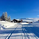 Family In Hafjell, In-ski Out * האפג'ל