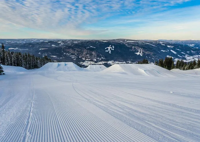 Family In Hafjell, In-ski Out