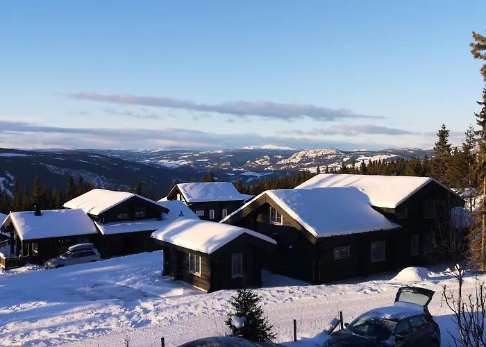 Family In Hafjell, In-ski Out *